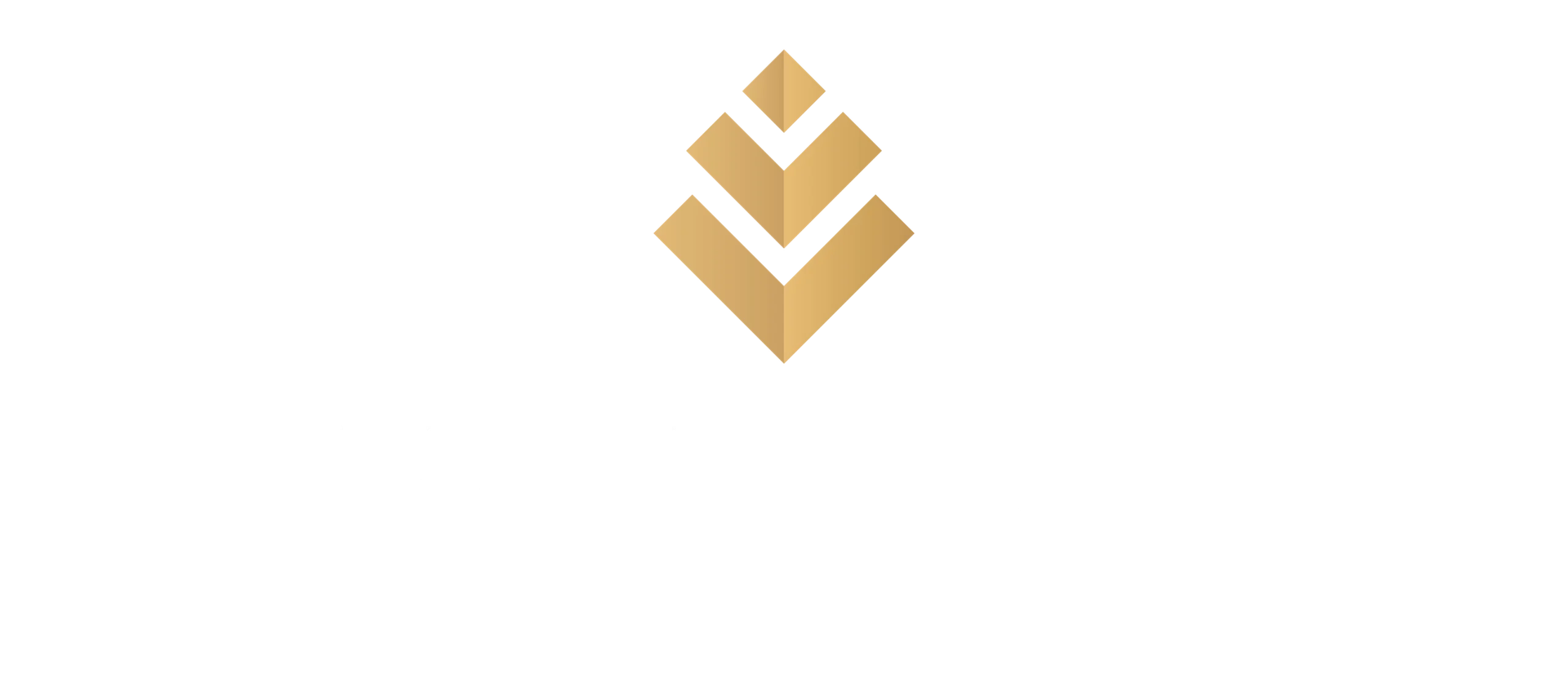 Vanraaj Realty